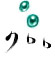 �N����